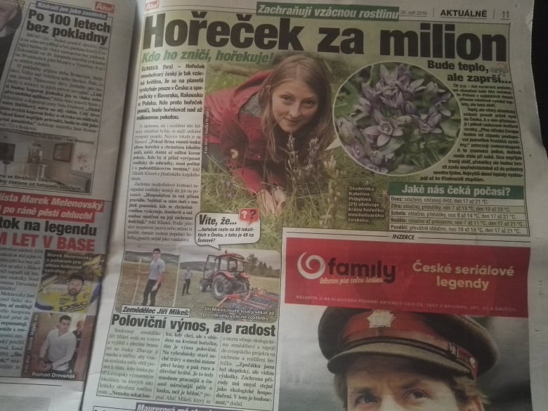 Hořeček - Blesk